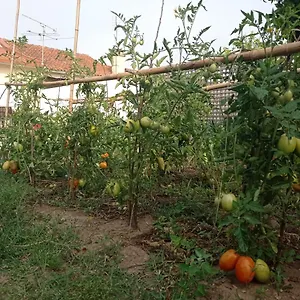 Eira Da Mila Coïmbre